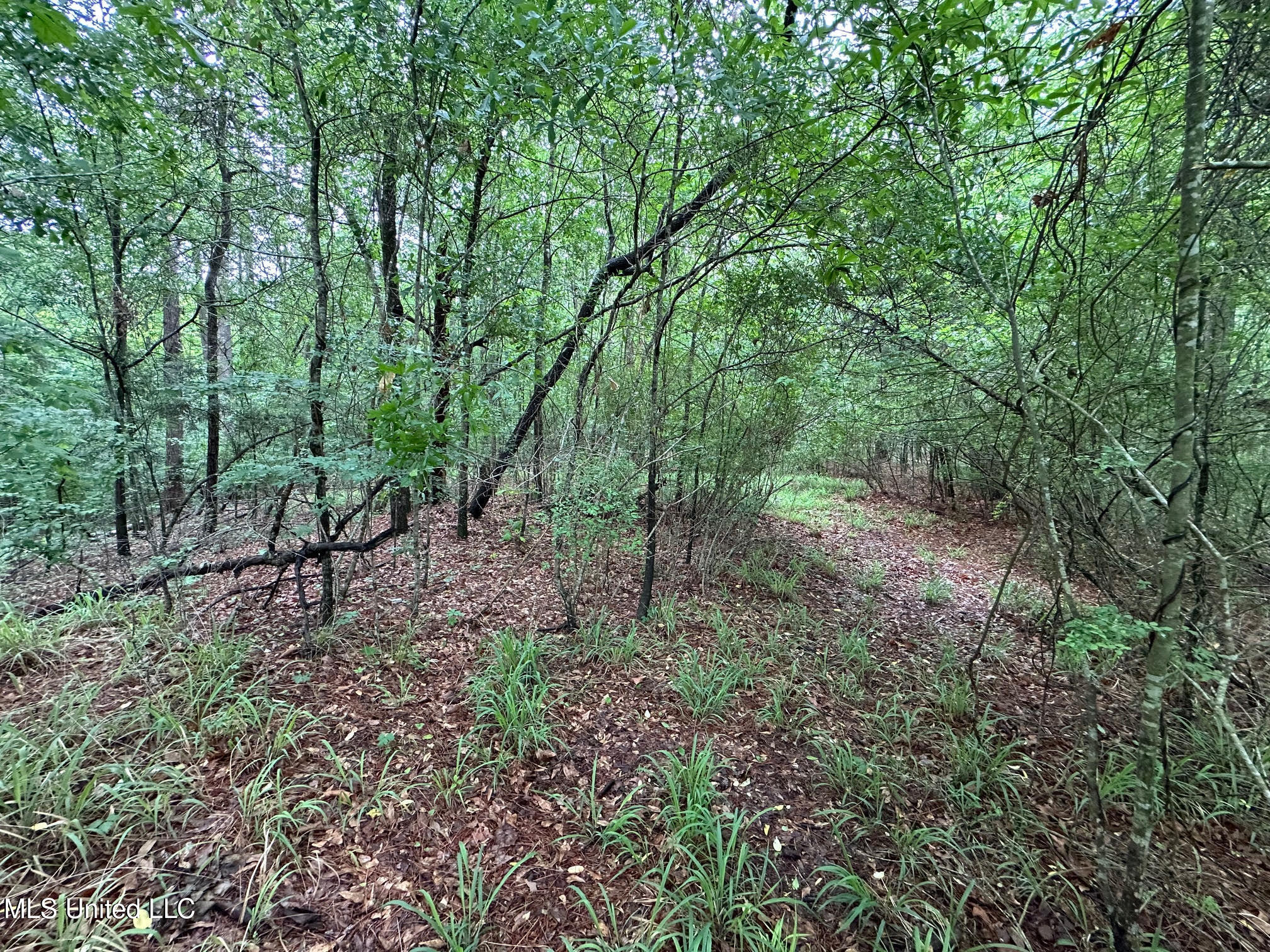 101 Madlyn Drive, Florence, Mississippi image 2