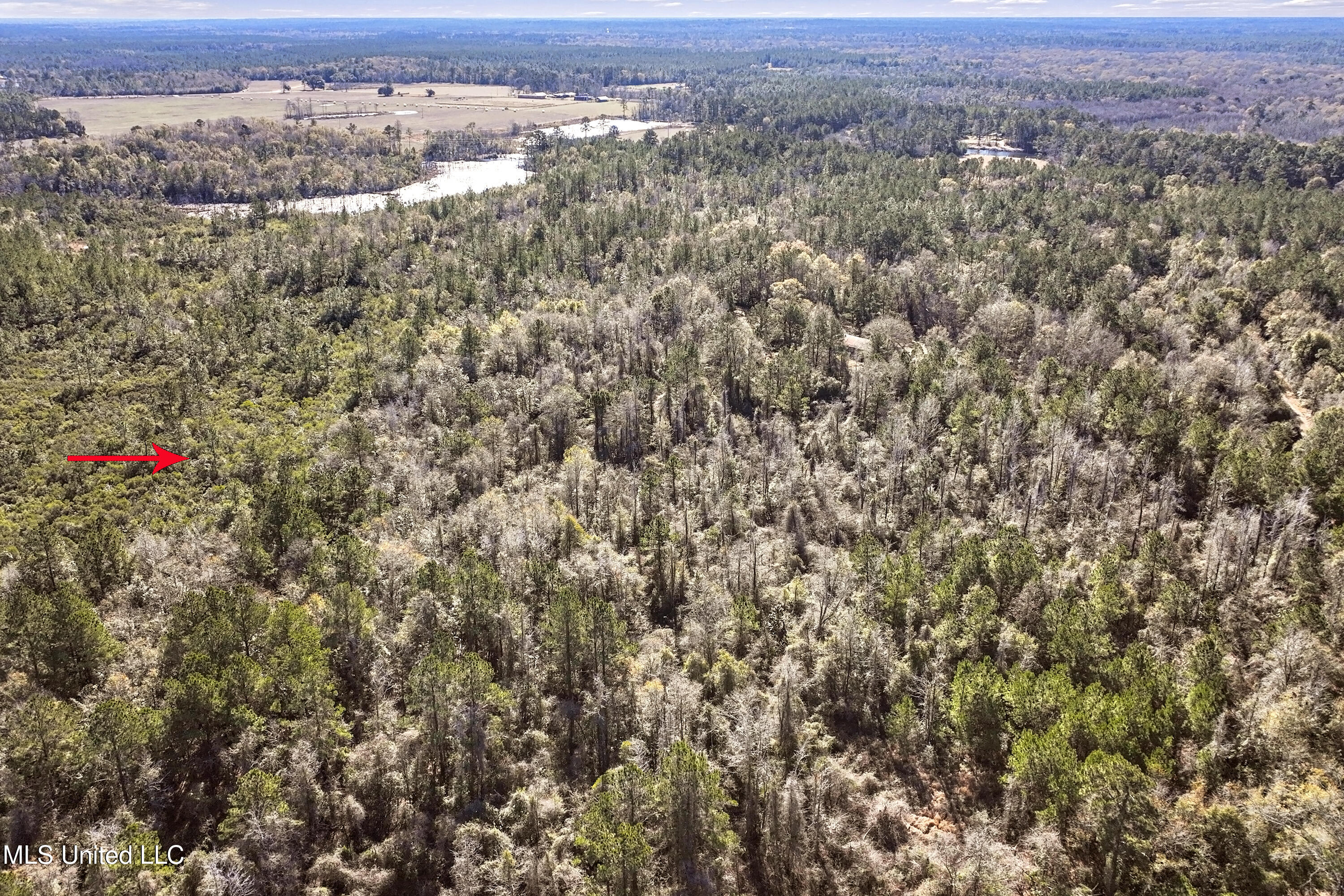 Kit Maples Road, Perkinston, Mississippi image 8