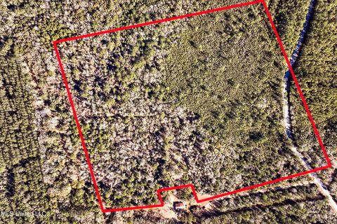 Vacant Land For Sale - Kit Maples Road<br/> George County, Perkinston, MS 39573