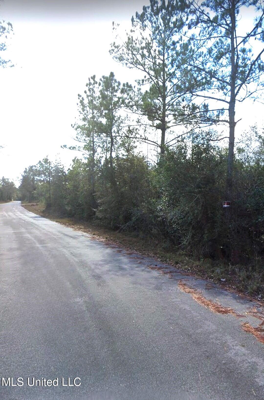 Kit Maples Road, Perkinston, Mississippi image 11