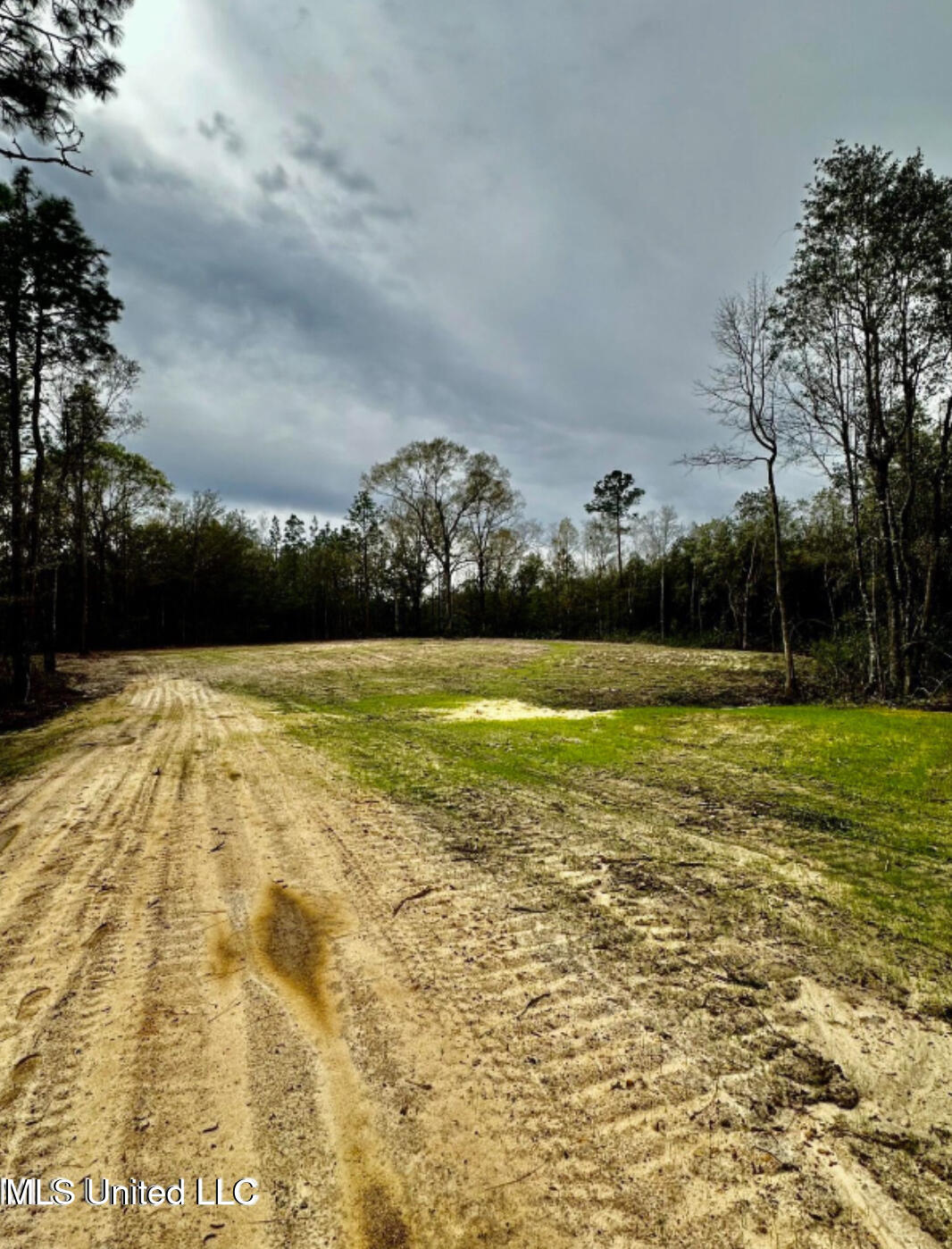 E N Creek Rd. Road, Lucedale, Mississippi image 2