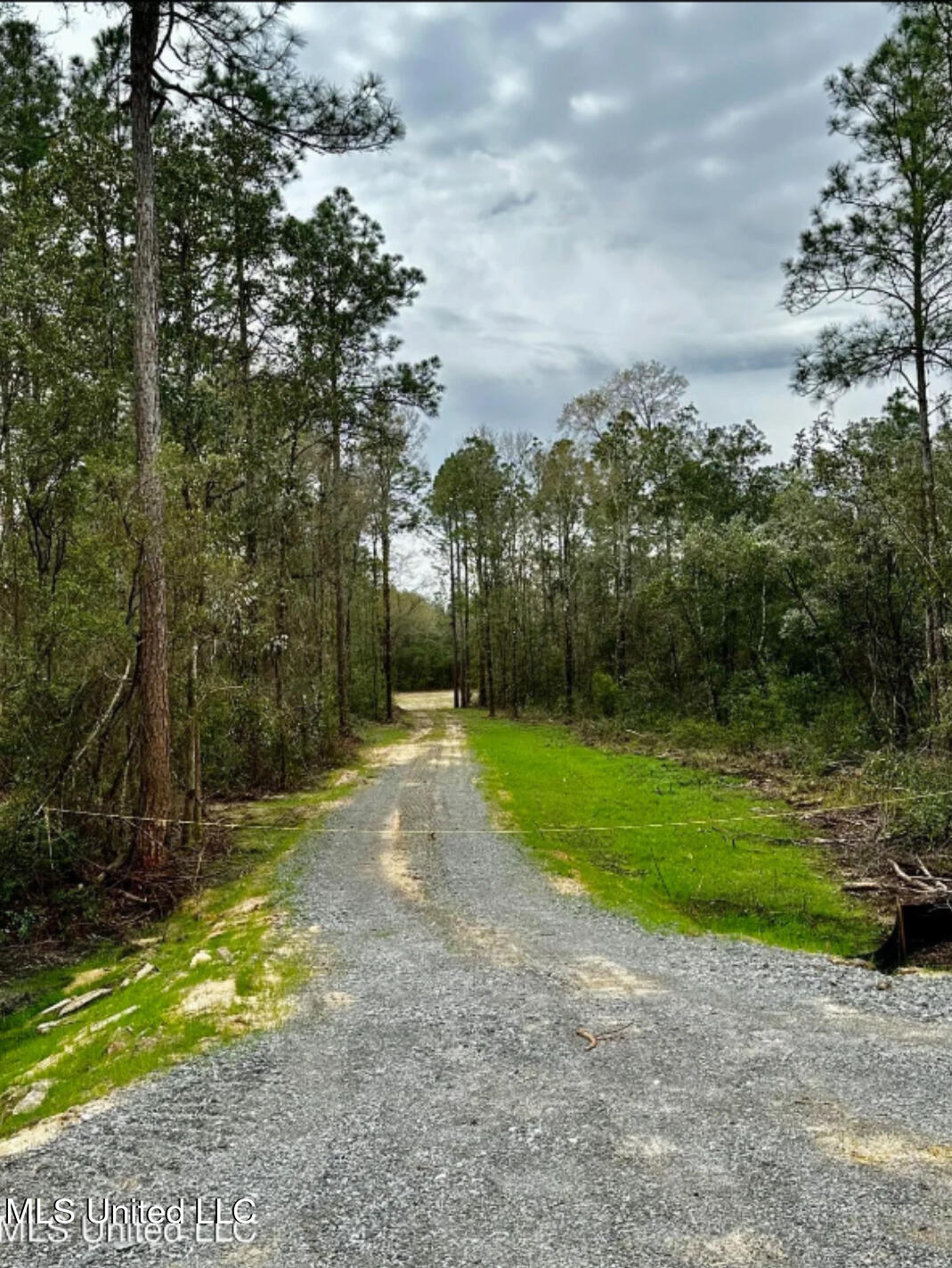 E N Creek Rd. Road, Lucedale, Mississippi image 1