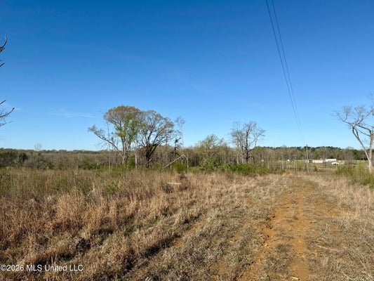 385 VANARSDALE RD, PICKENS, MS 39146 - Image c2f5dddb58ca399c8e3853d75fcdb113/2190251026