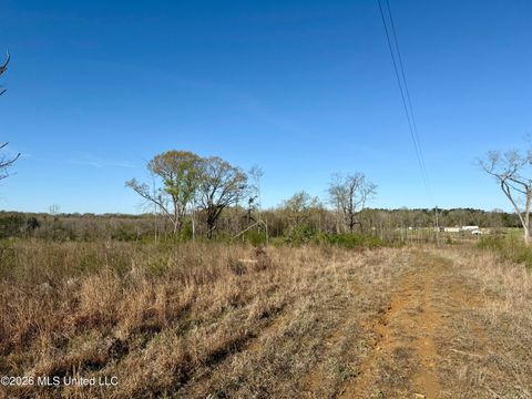 Vacant Land For Sale - 385 Vanarsdale Road<br/> Holmes County, Pickens, MS 39146