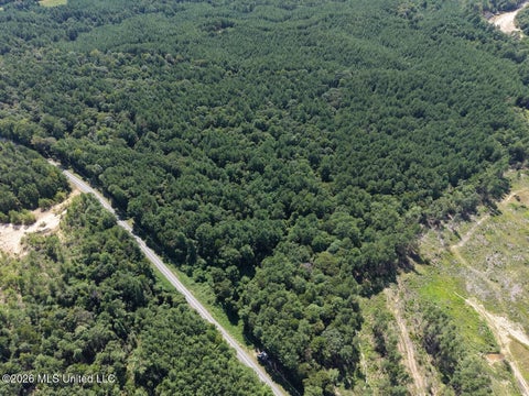 Vacant Land For Sale - 1669 Burt Jordan Road<br/> Meadville, MS 39653