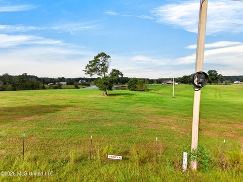 Vacant Land For Sale - El Shaddai Road<br/> Poplarville, MS 39470