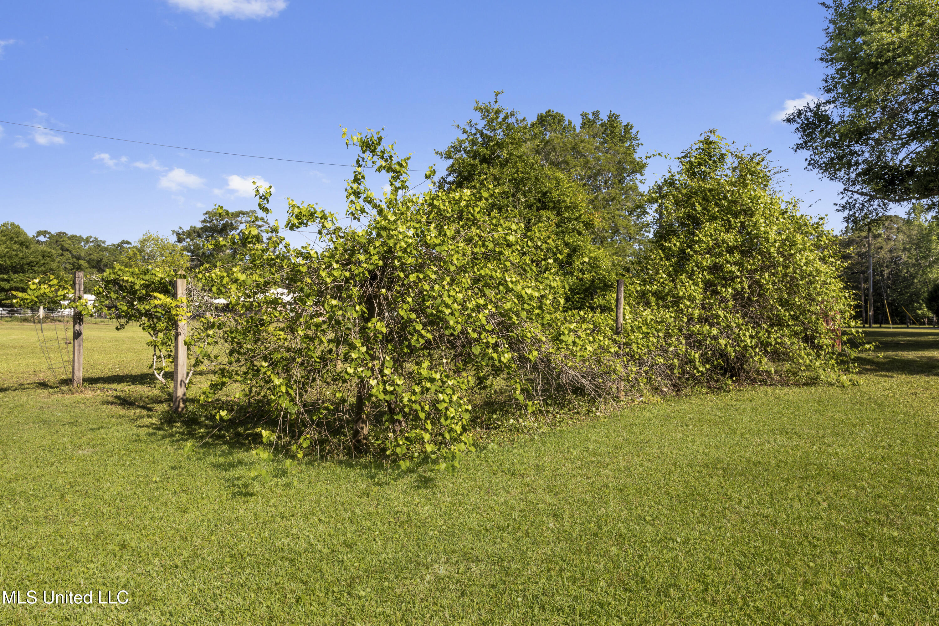 2005 Montcliff Drive, Vancleave, Mississippi image 34