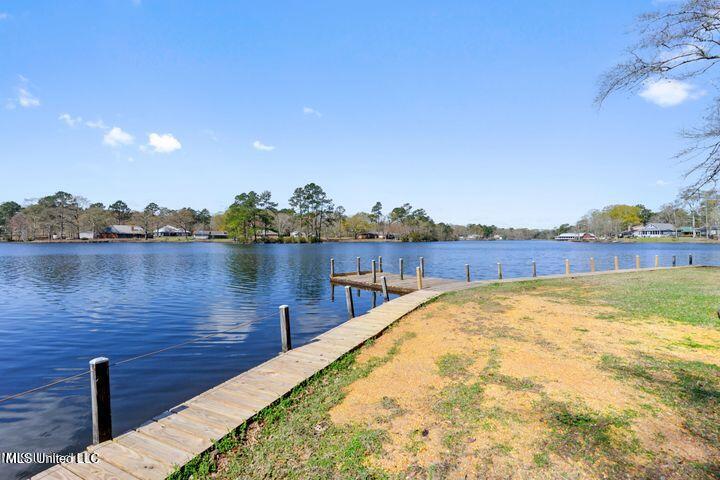 313 Rault Drive, Lumberton, Mississippi image 26
