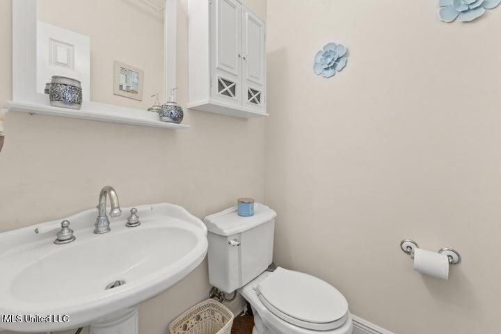 313 Rault Drive, Lumberton, Mississippi image 46
