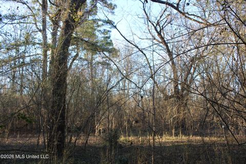 Vacant Land For Sale - 3641 Miller Road<br/> Olive Branch, MS 38654