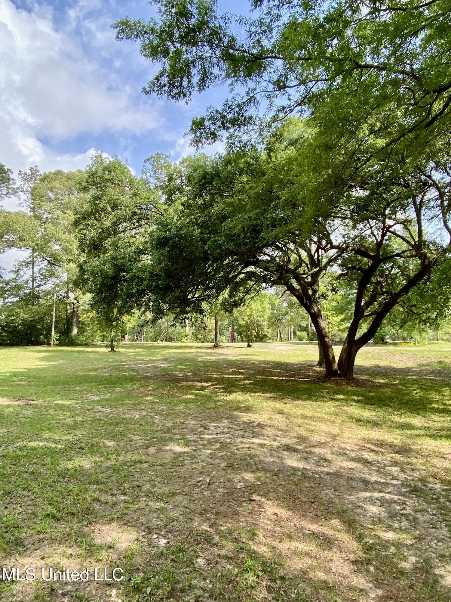 256 Lake David Drive, Picayune, Mississippi image 38