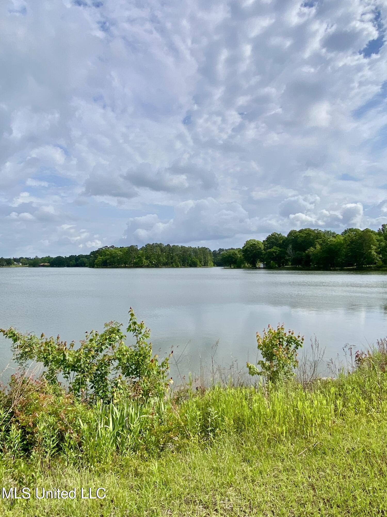 256 Lake David Drive, Picayune, Mississippi image 42