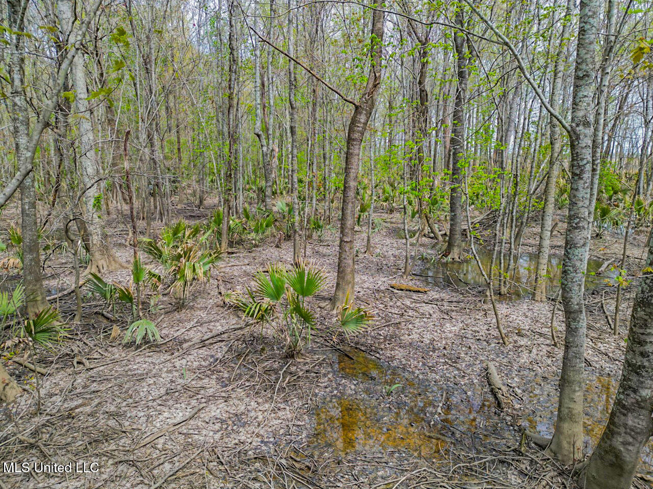 4002 Highway 65, Clayton, Louisiana image 10