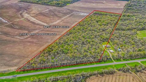 Vacant Land For Sale - 4002 Highway 65<br/> Clayton, LA 71326