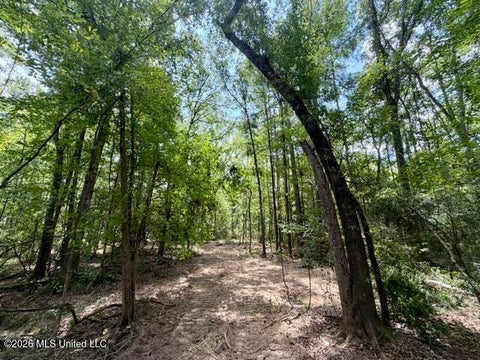 Vacant Land For Sale - SE Lee Drive<br/> Bogue Chitto, MS 39629