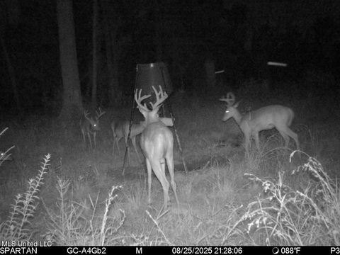 Vacant Land For Sale - 38774 S Mccarrol Rd Road<br/> Amite, LA 70422