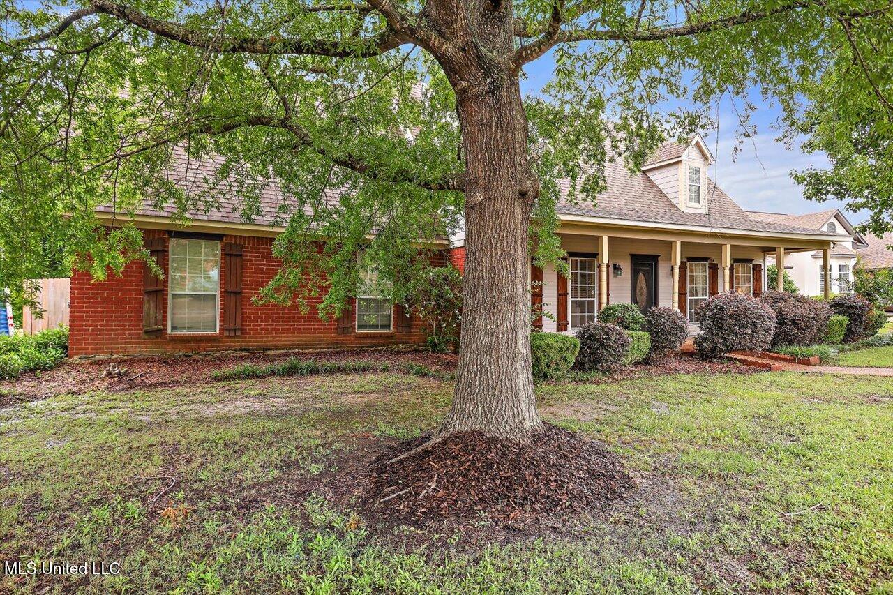 501 Brighton Circle, Brandon, Mississippi image 3