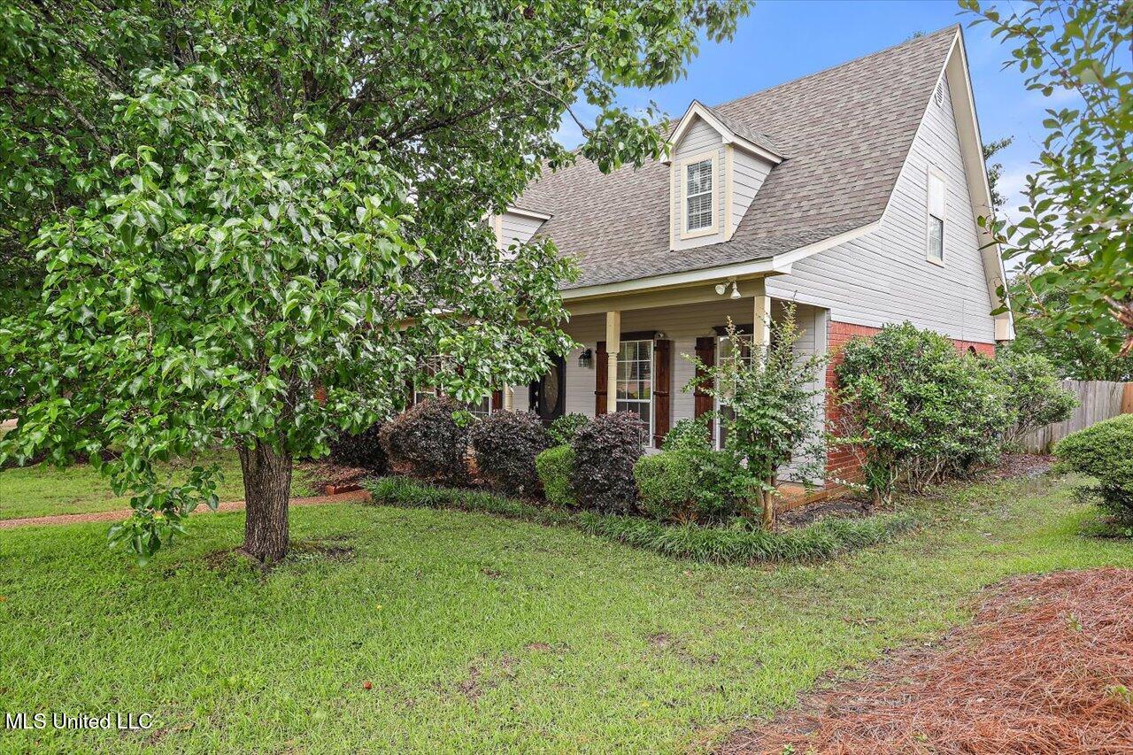 501 Brighton Circle, Brandon, Mississippi image 2