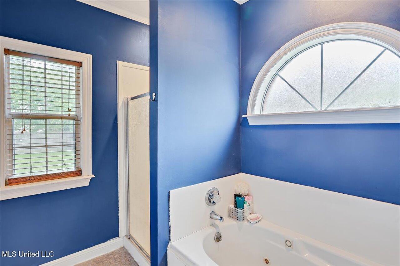 501 Brighton Circle, Brandon, Mississippi image 21