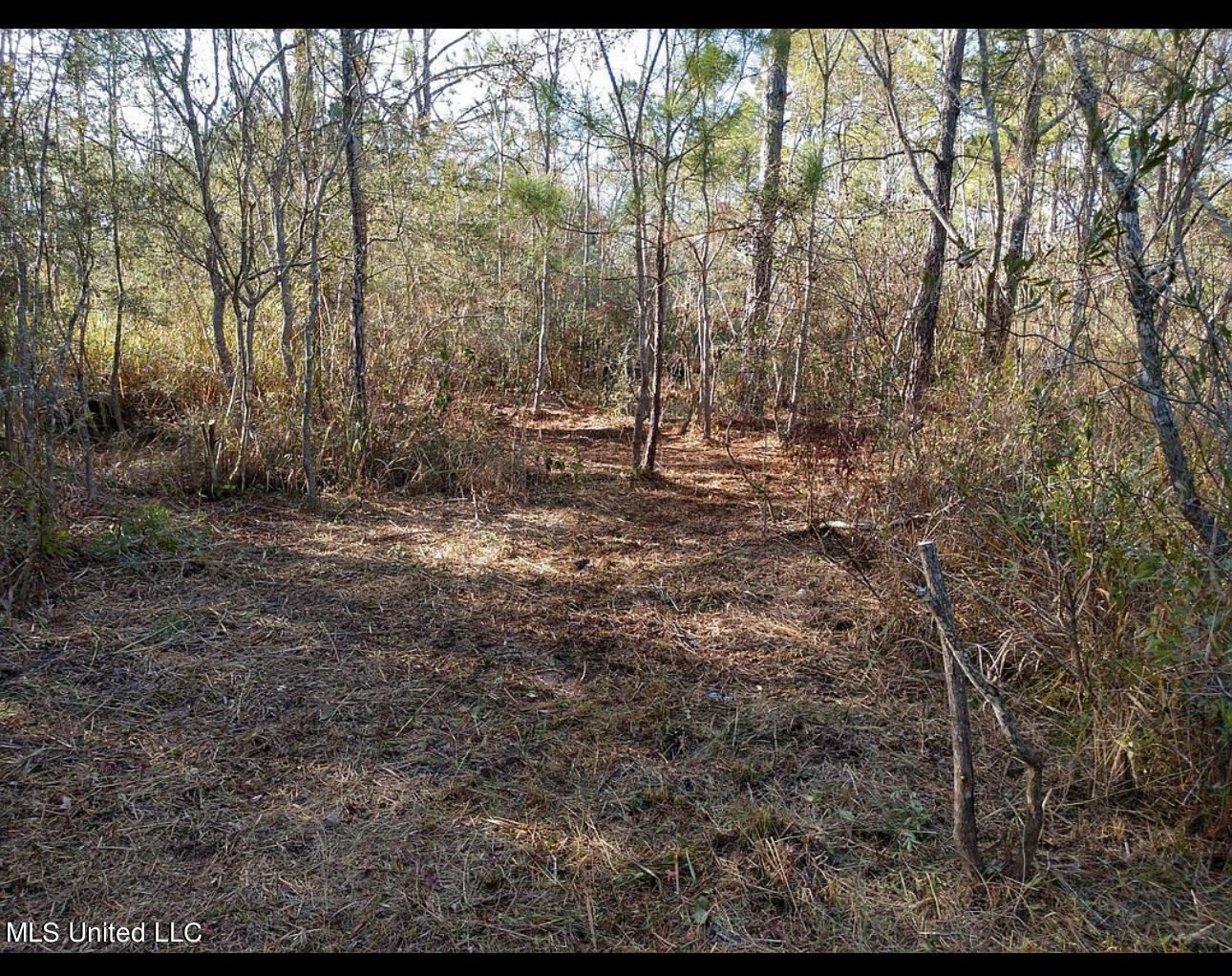 S Lark Street, Waveland, Mississippi image 3