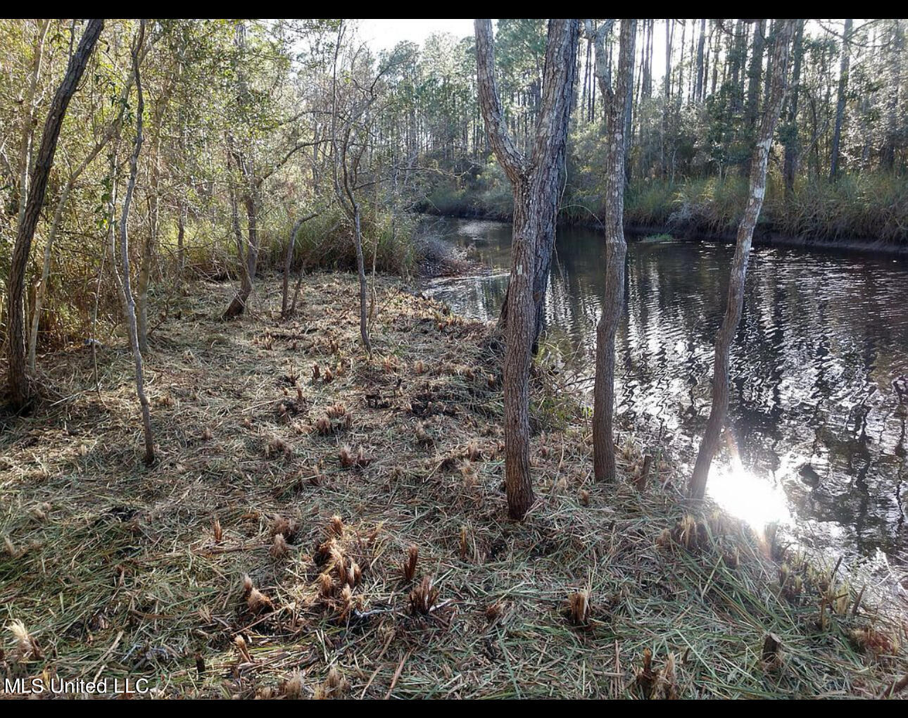 S Lark Street, Waveland, Mississippi image 6