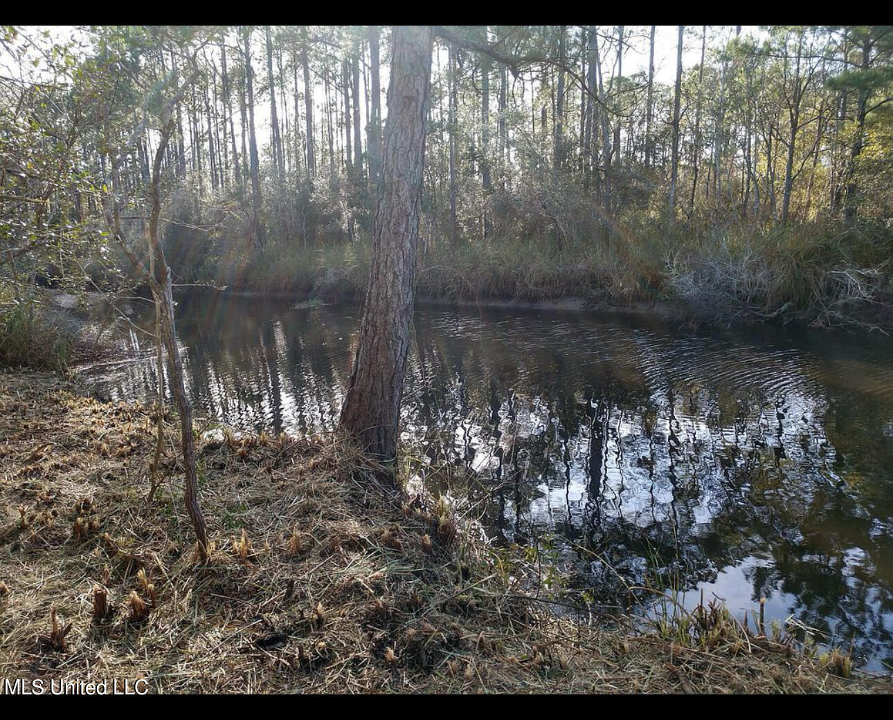 S Lark Street, Waveland, Mississippi image 2