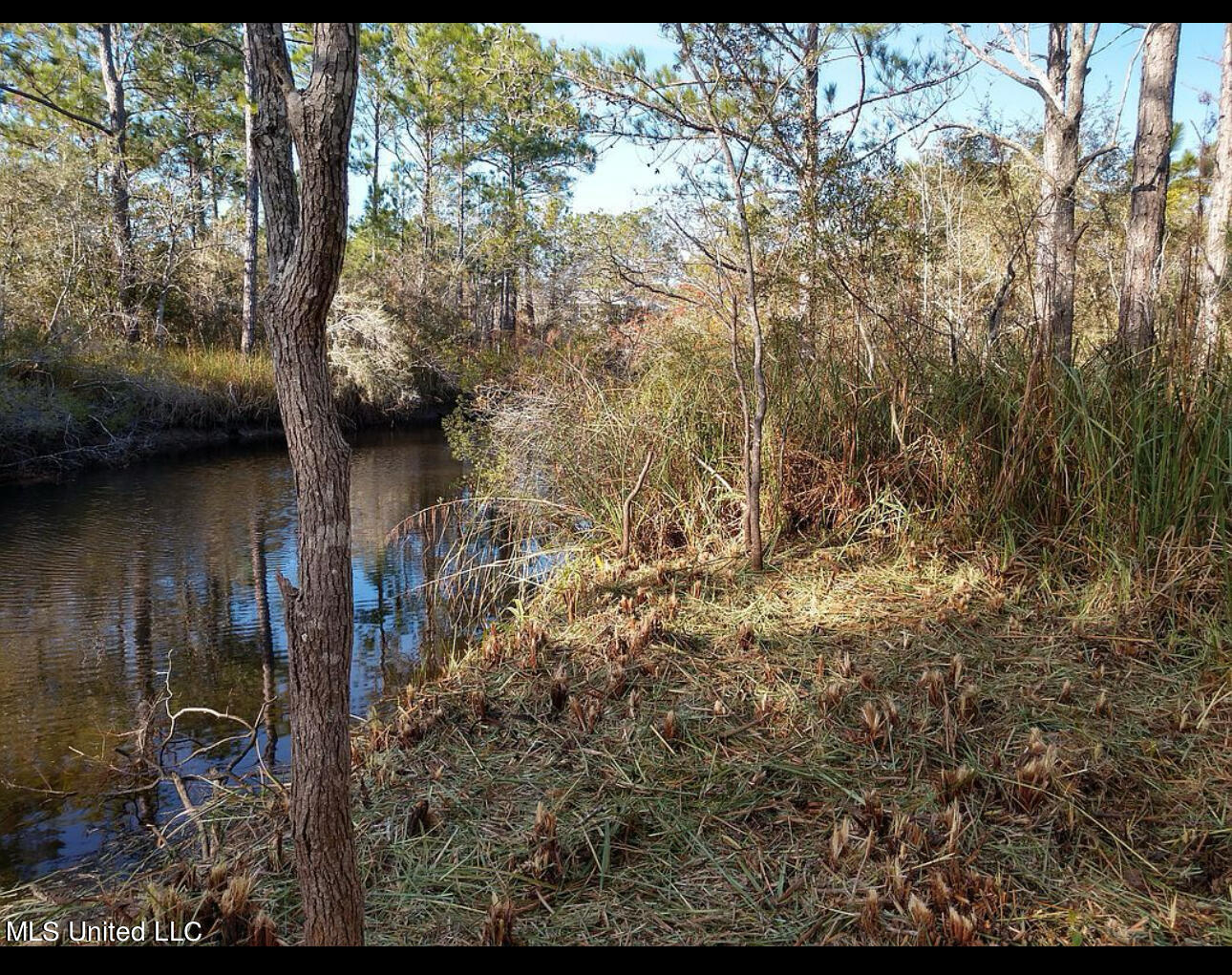 S Lark Street, Waveland, Mississippi image 5