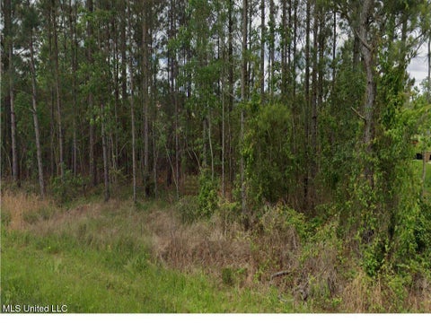 Vacant Land For Sale - Lark Street<br/> Hancock County, Bay Saint Louis, MS 39520