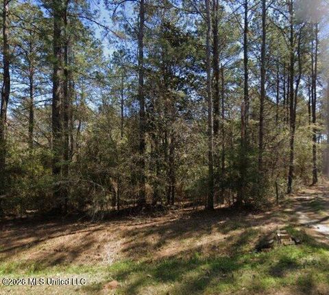 Vacant Land For Sale - 808 Big 4 Road<br/> Wiggins, MS 39577