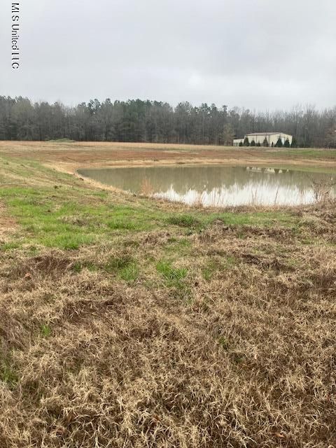 Townhouse For Sale - 1127 Breedlove Road<br/> Michigan City, MS 38647