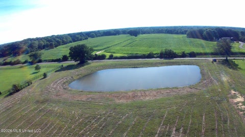 Vacant Land For Sale - 1127 Breedlove Road<br/> Benton County, Michigan City, MS 38647