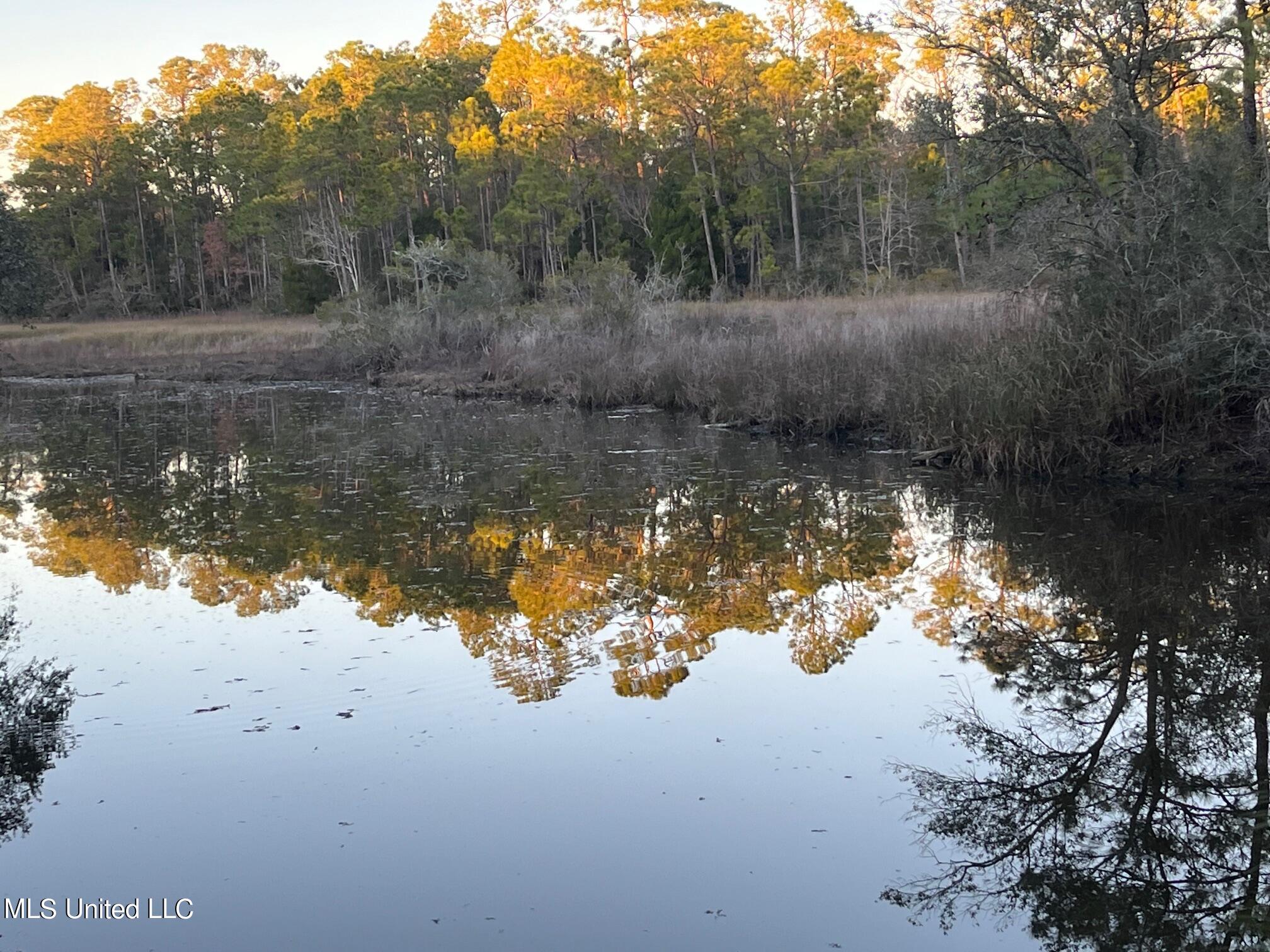 Graveline Road, Gautier, Mississippi image 2