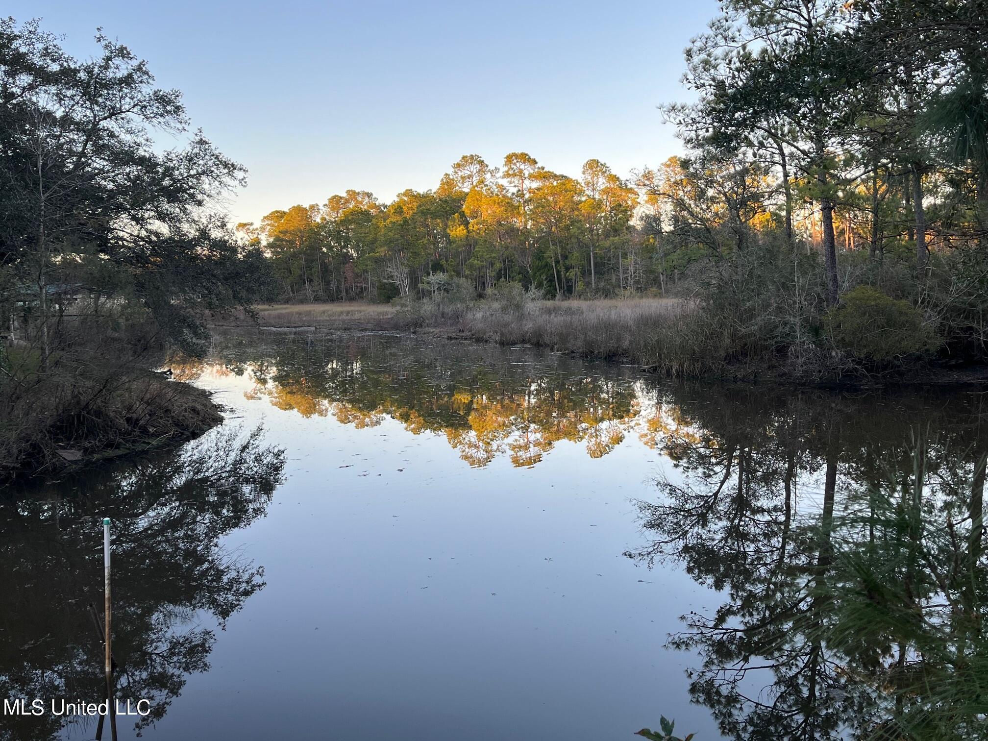 Graveline Road, Gautier, Mississippi image 5