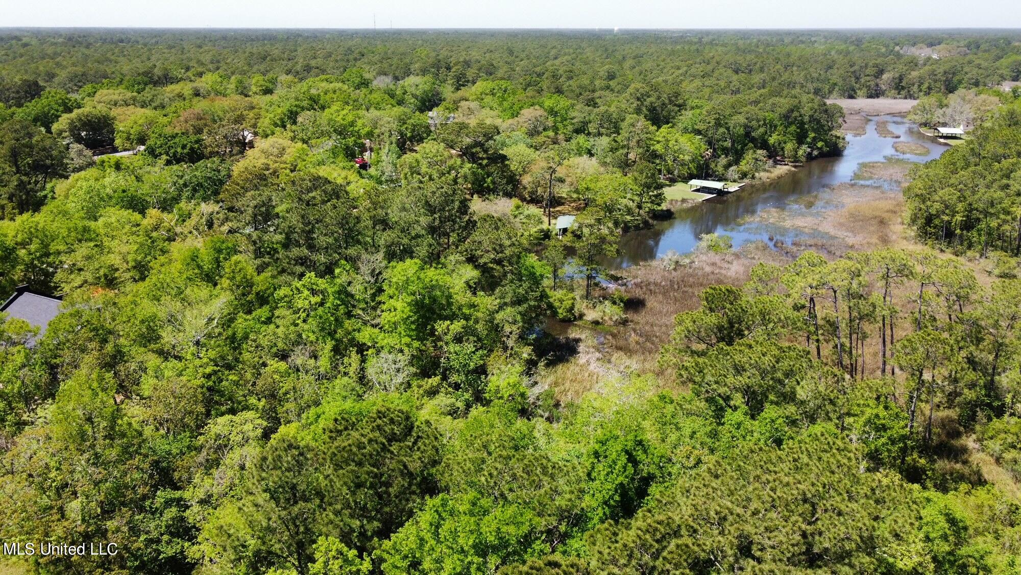 Graveline Road, Gautier, Mississippi image 6