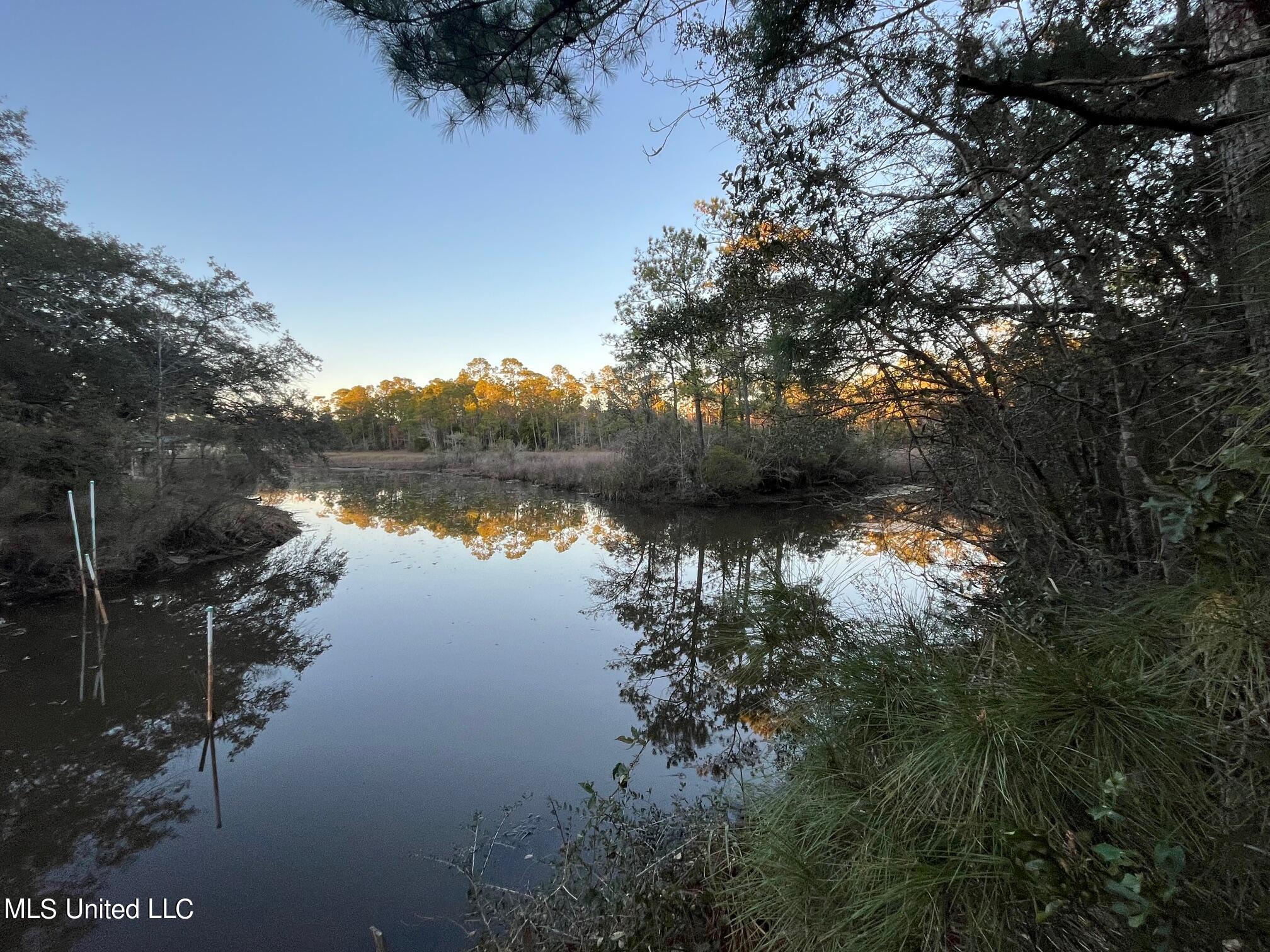 Graveline Road, Gautier, Mississippi image 12