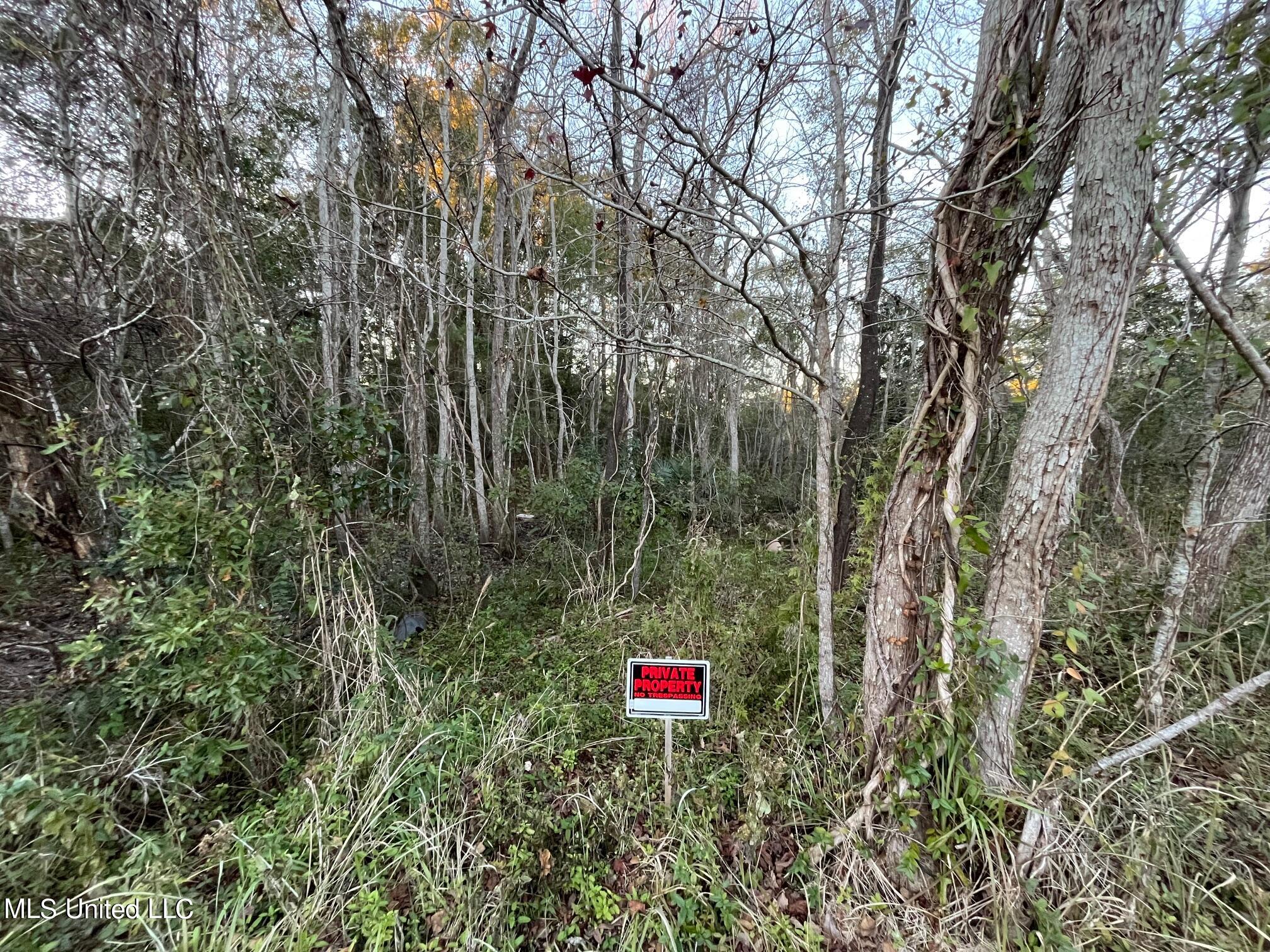 Graveline Road, Gautier, Mississippi image 10