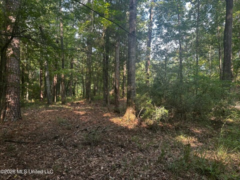 Vacant Land For Sale - 137 Shorter Road<br/> Simpson County, Braxton, MS 39044