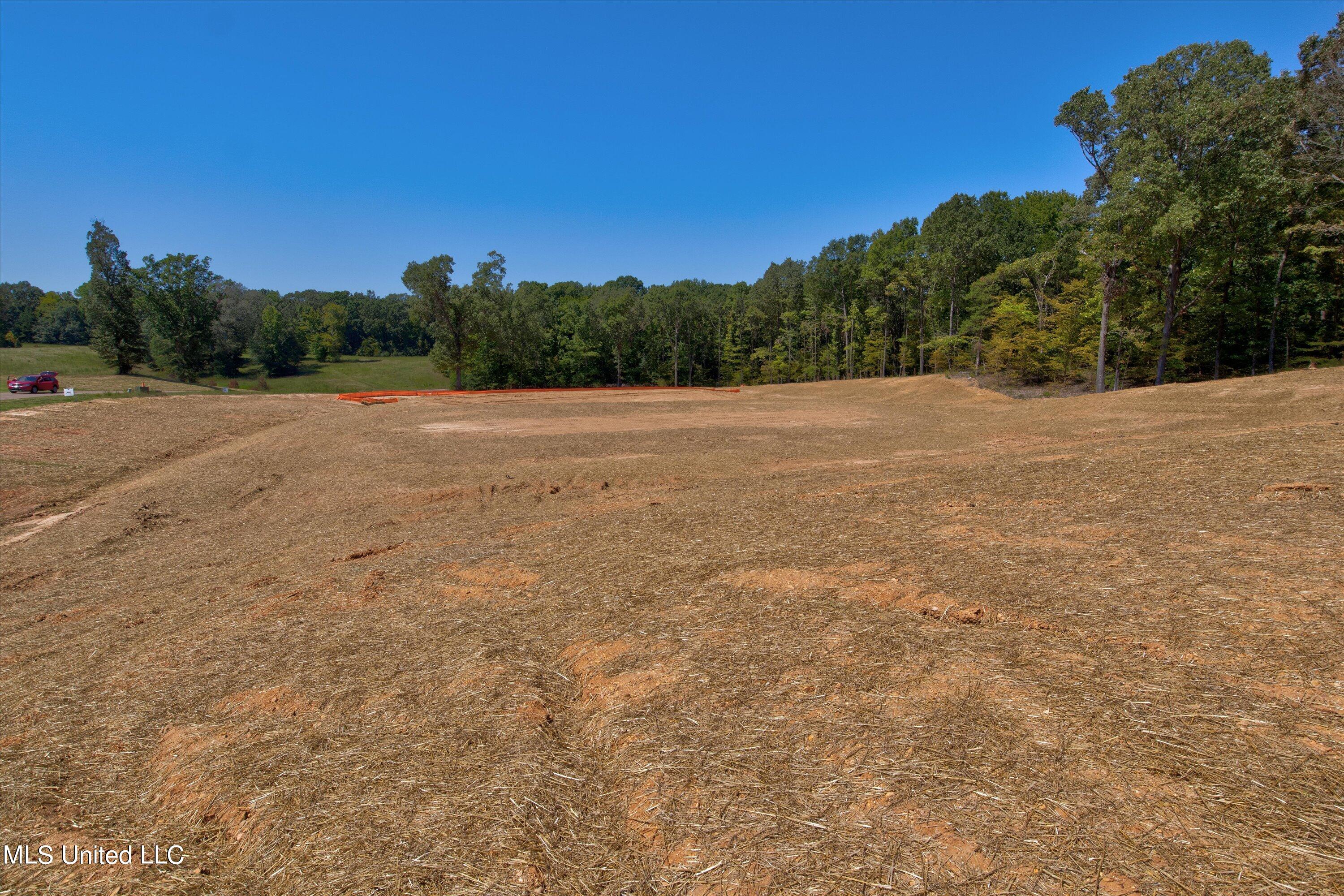 2702 Plank Road, Hernando, Mississippi image 13