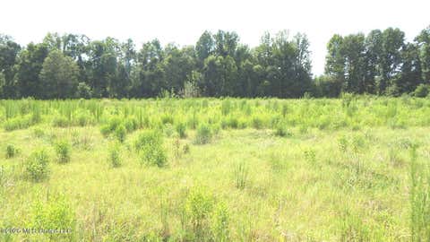 Vacant Land For Sale - 590 County Road 247<br/> Bruce, MS 38915