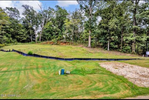 Vacant Land For Sale - 2768 Black Rock Road<br/> Nesbit, MS 38651