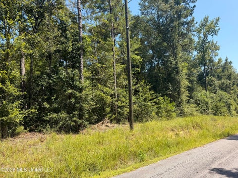 Vacant Land For Sale - Bobcat Lane<br/> Lucedale, MS 39452