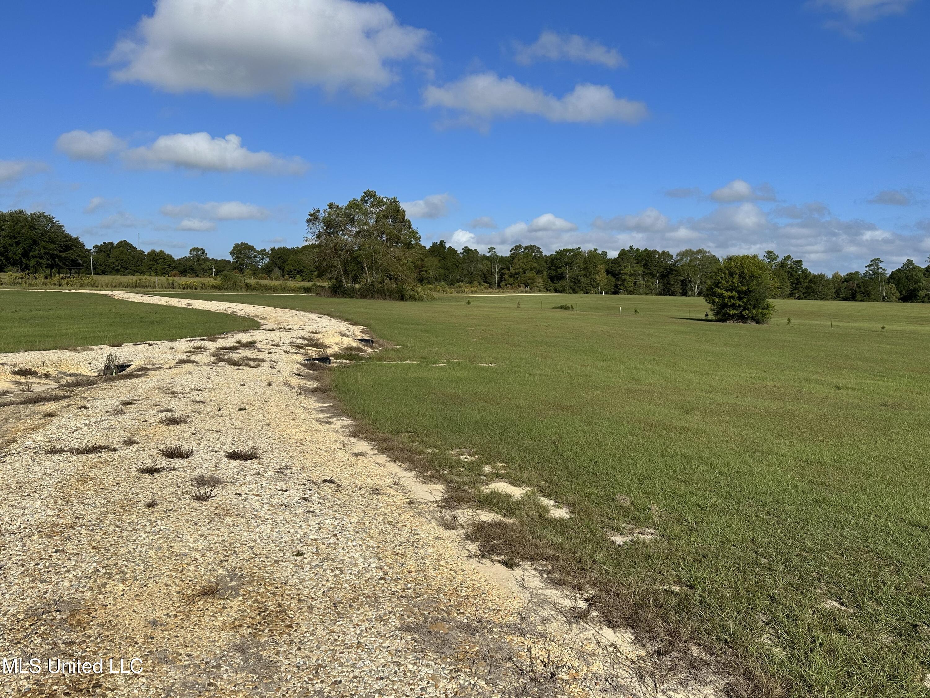 227 Progress Road, Poplarville, Mississippi image 7