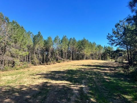 Vacant Land For Sale - - Airport Lane<br/> Amite County, Crosby, MS 39633
