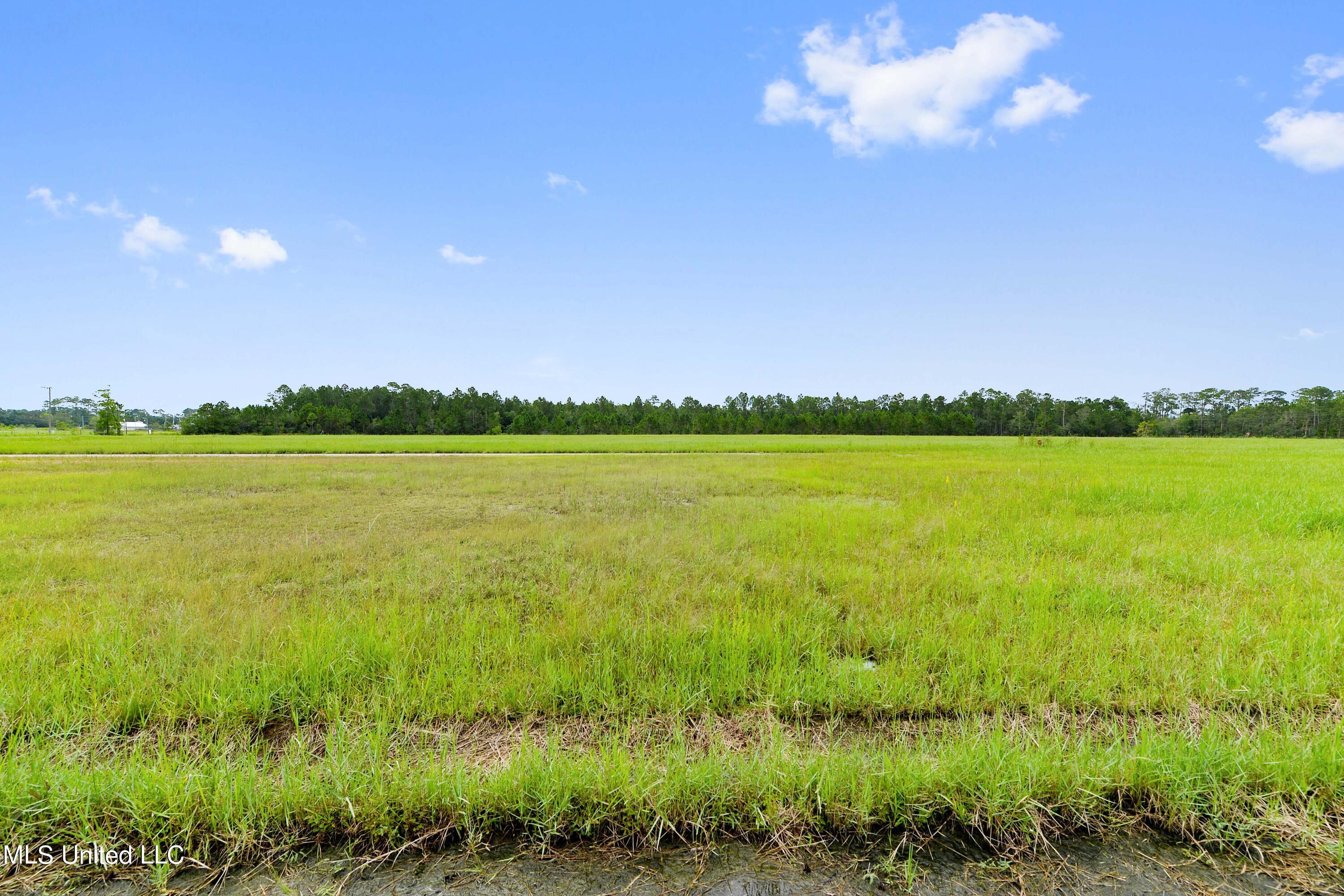 10160 Chapman Road, Bay Saint Louis, Mississippi image 7