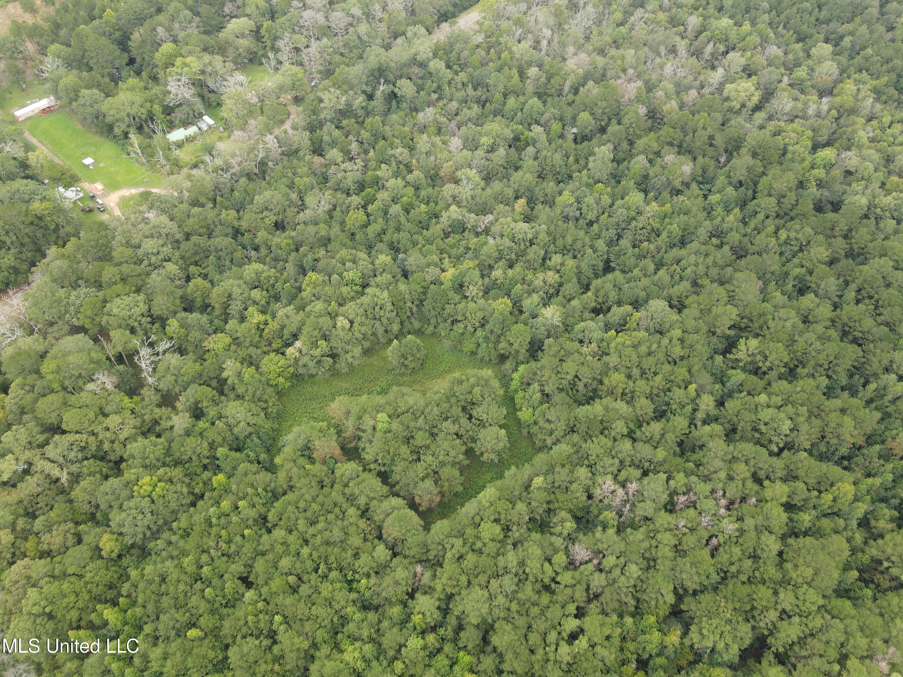 Ms-35, Forest, Mississippi image 17