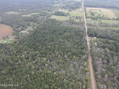 Vacant Land For Sale - Ms-35<br/> Scott County, Forest, MS 39074