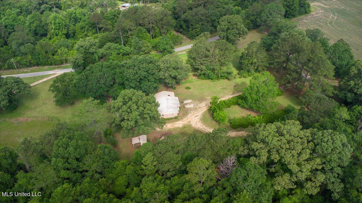 446 Snider Road, Brooklyn, Mississippi image 39