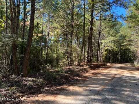 Vacant Land For Sale - 00 County Road 39<br/> Jasper County, Paulding, MS 39348