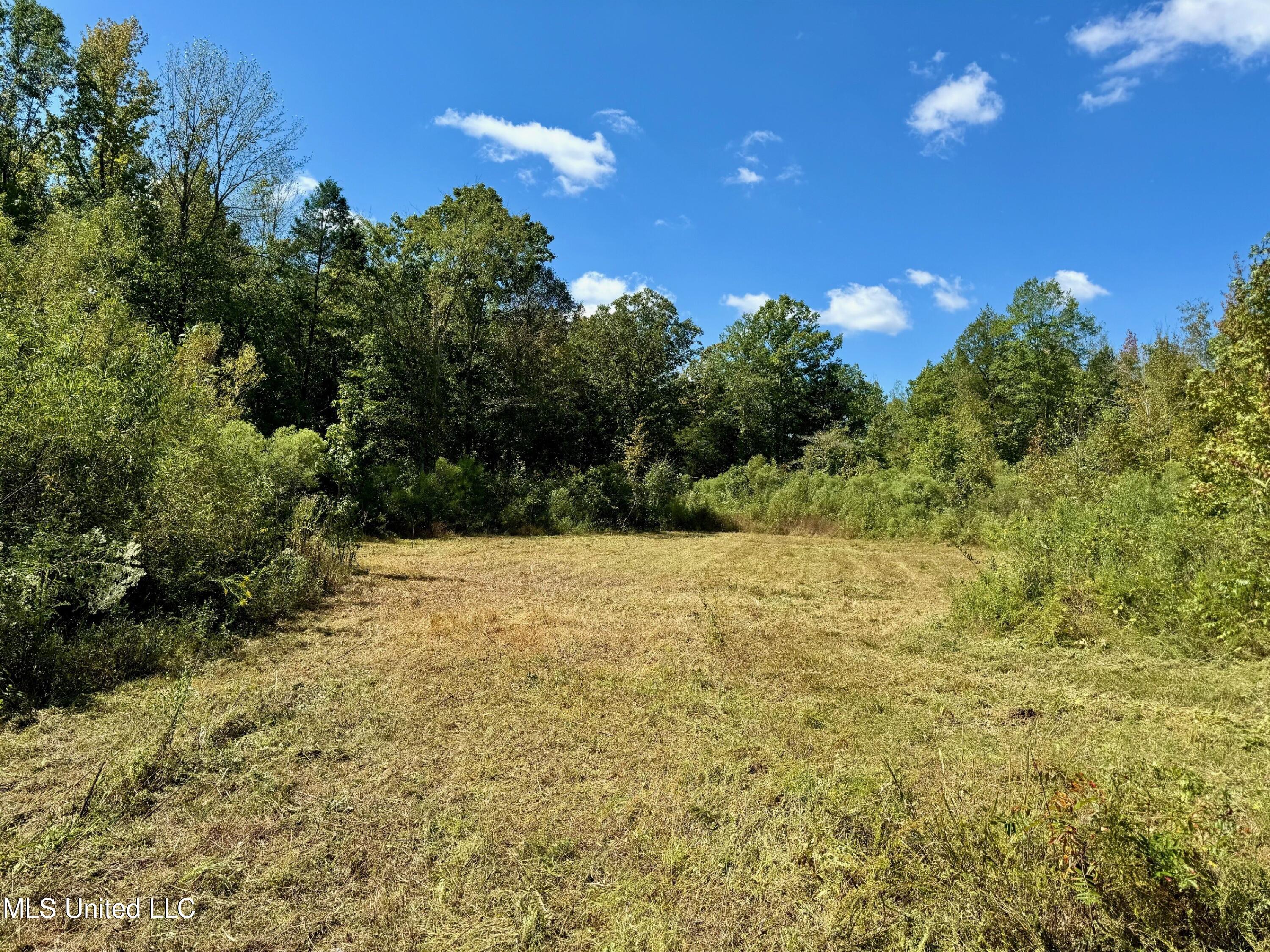 Tbd Co Rd 300, Big Creek, Mississippi image 4