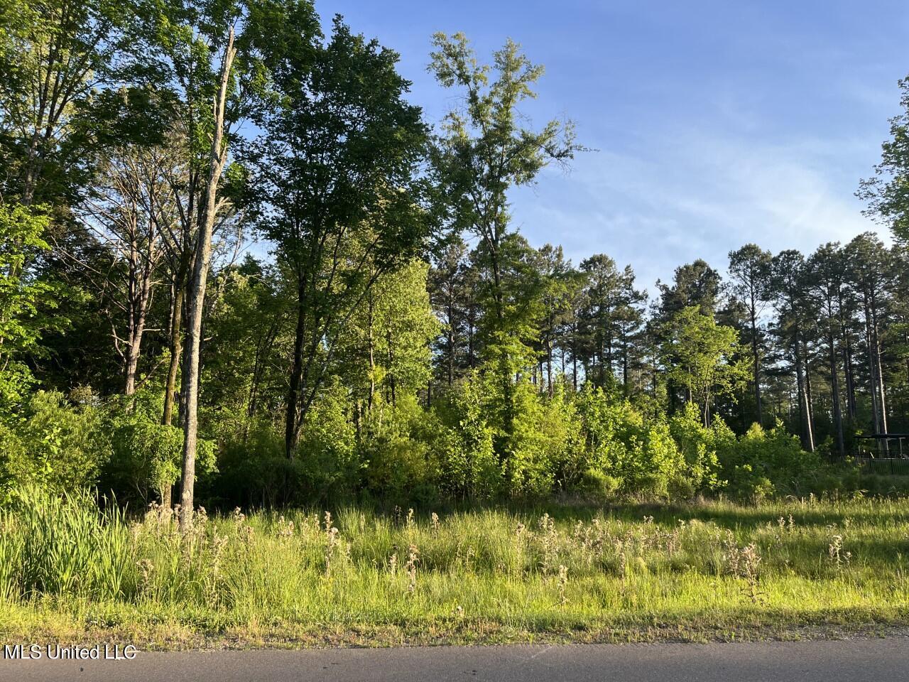 Oakside Trail, Madison, Mississippi image 1